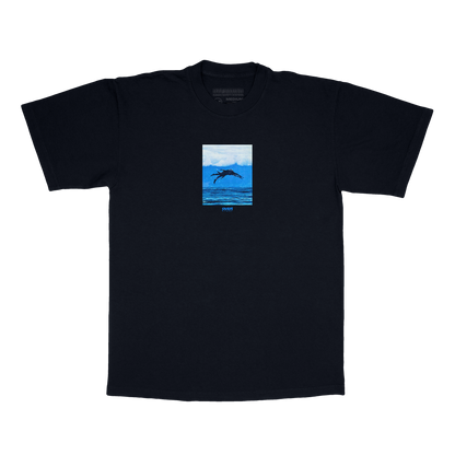 CETACEAN : BLACK