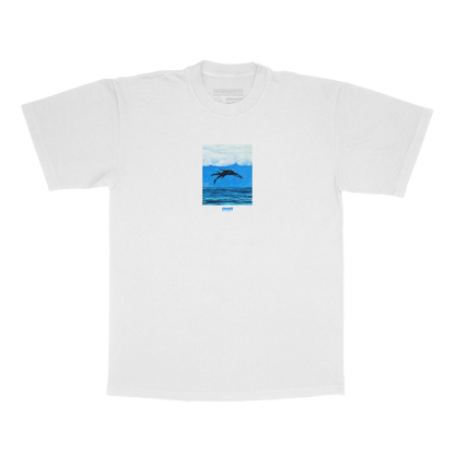 CETACEAN : WHITE