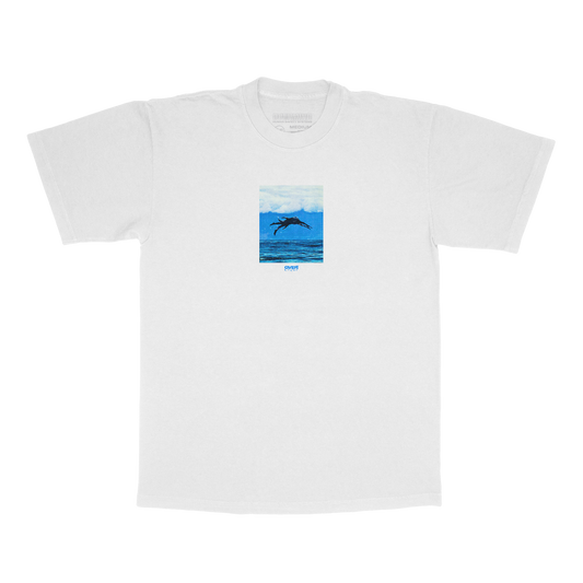 CETACEAN : WHITE